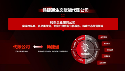 AI引領(lǐng)代理記賬革新,助推代賬企業(yè)實現(xiàn)效能躍遷