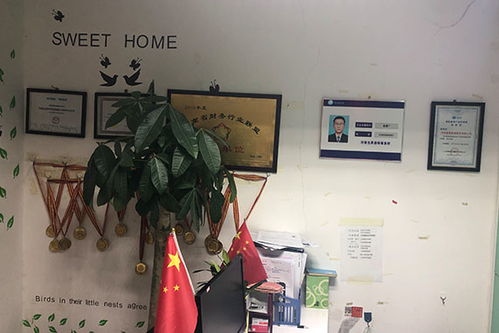 鄭州管城區(qū)代賬公司排名,先創(chuàng)財稅公司在哪
